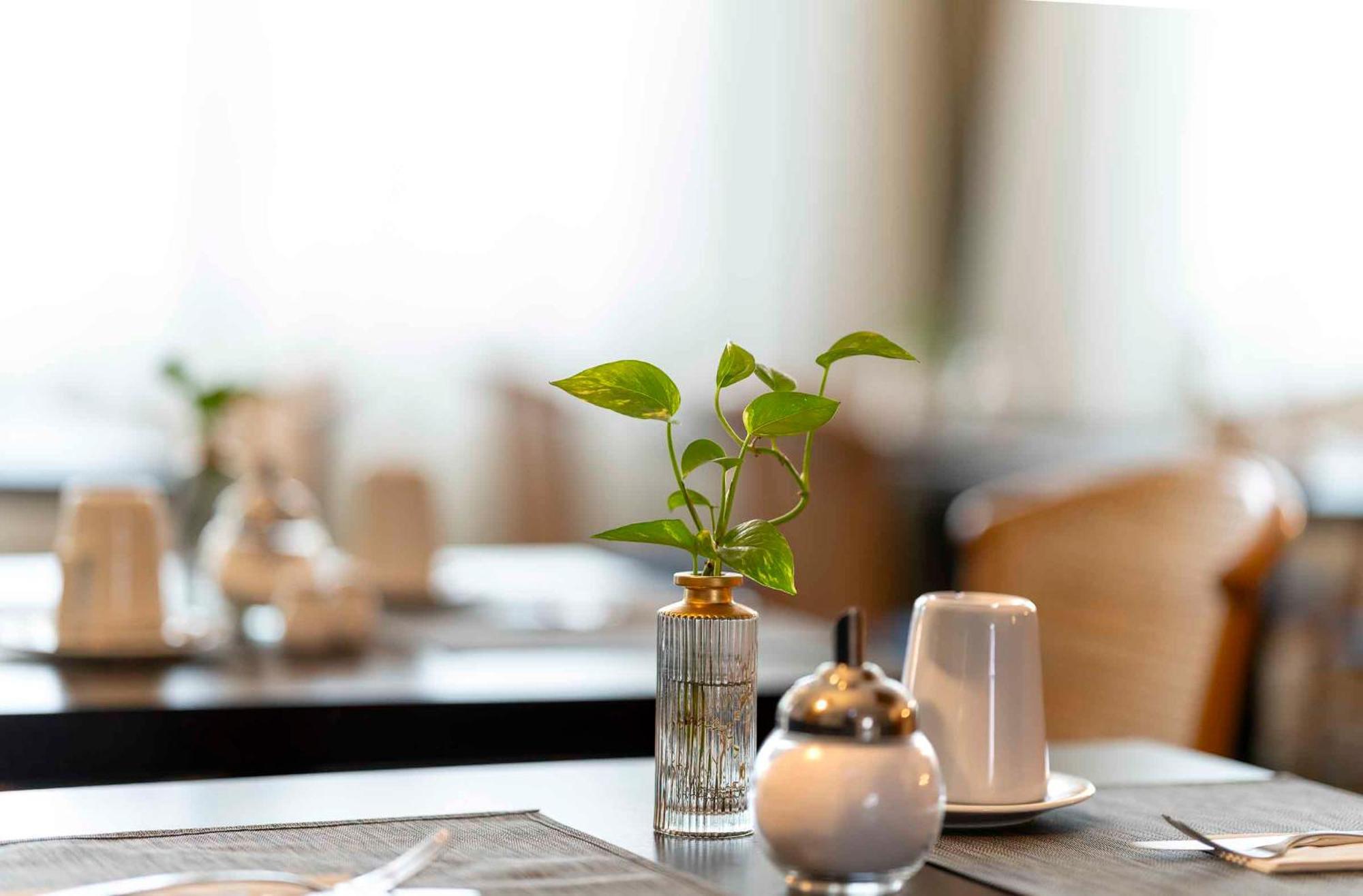 Plaza Inn Blankenburg Ditzingen, Sure Hotel Collection 외부 사진