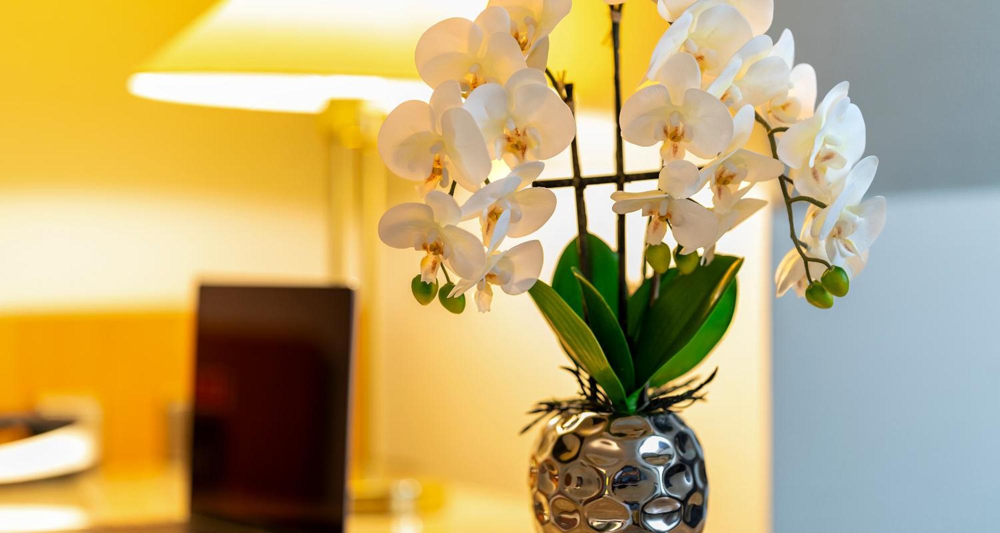 Plaza Inn Blankenburg Ditzingen, Sure Hotel Collection 외부 사진