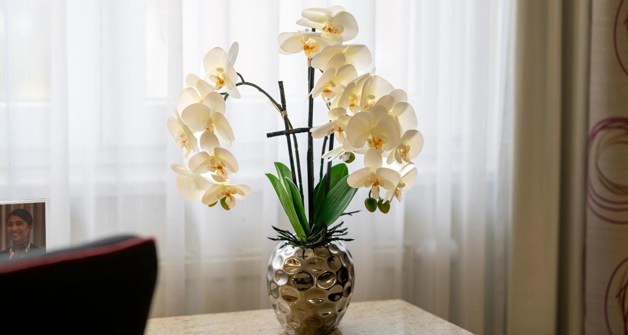 Plaza Inn Blankenburg Ditzingen, Sure Hotel Collection 외부 사진